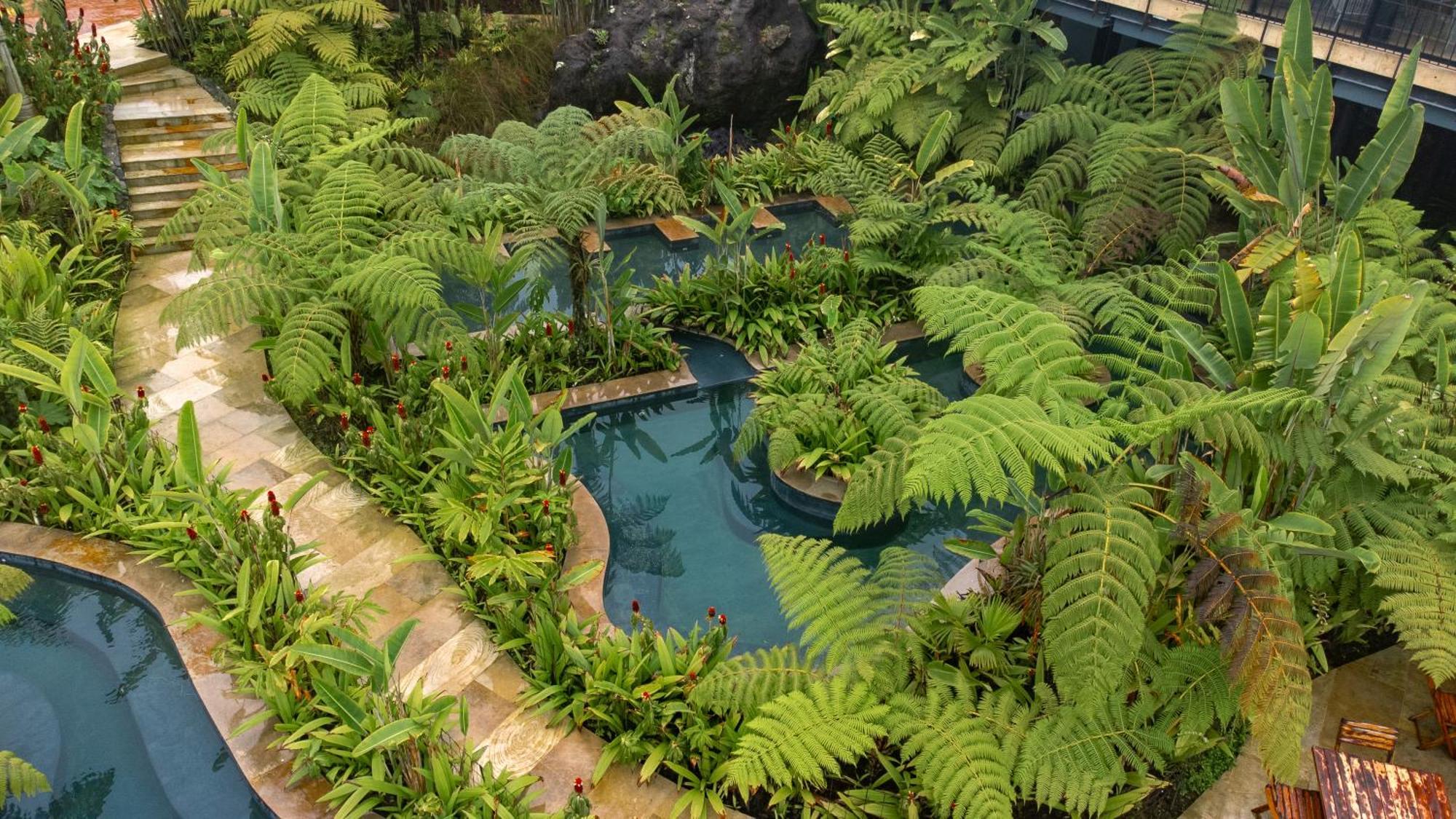 Termales El Otono Hotel La Enea Exterior photo The interior of the Rainforest biome