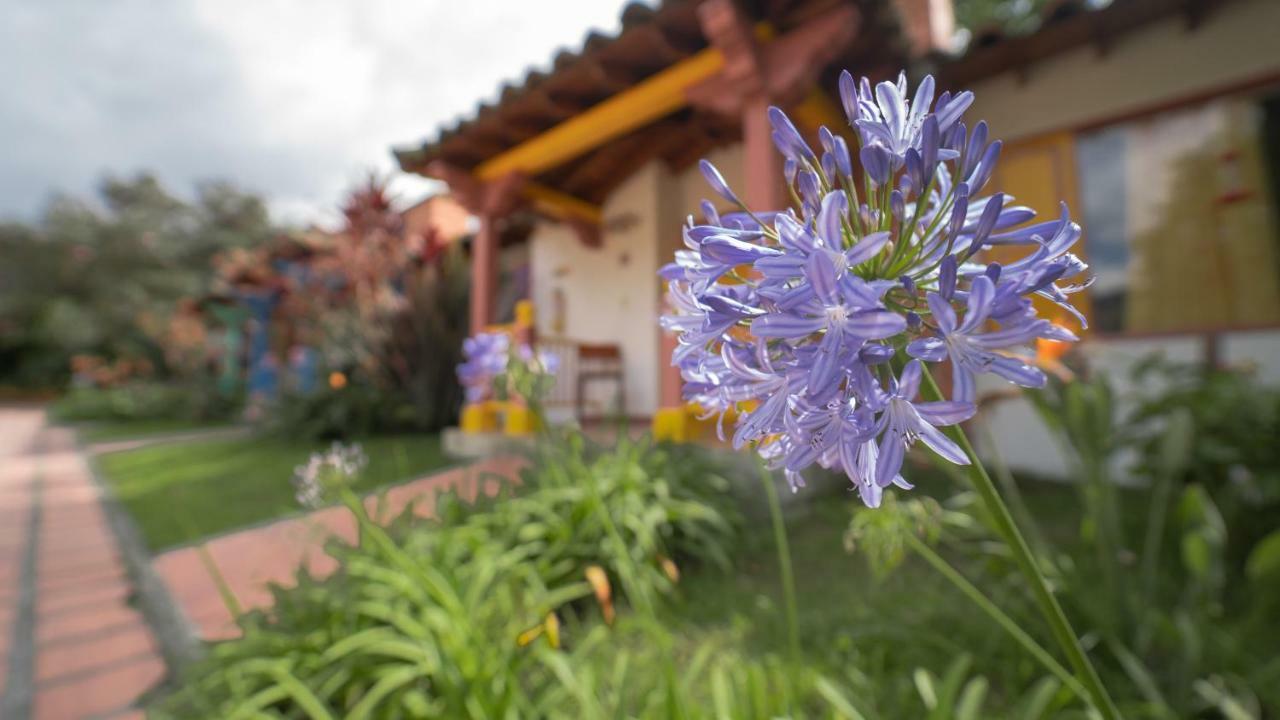 Termales El Otono Hotel La Enea Exterior photo Agapanthus africanus