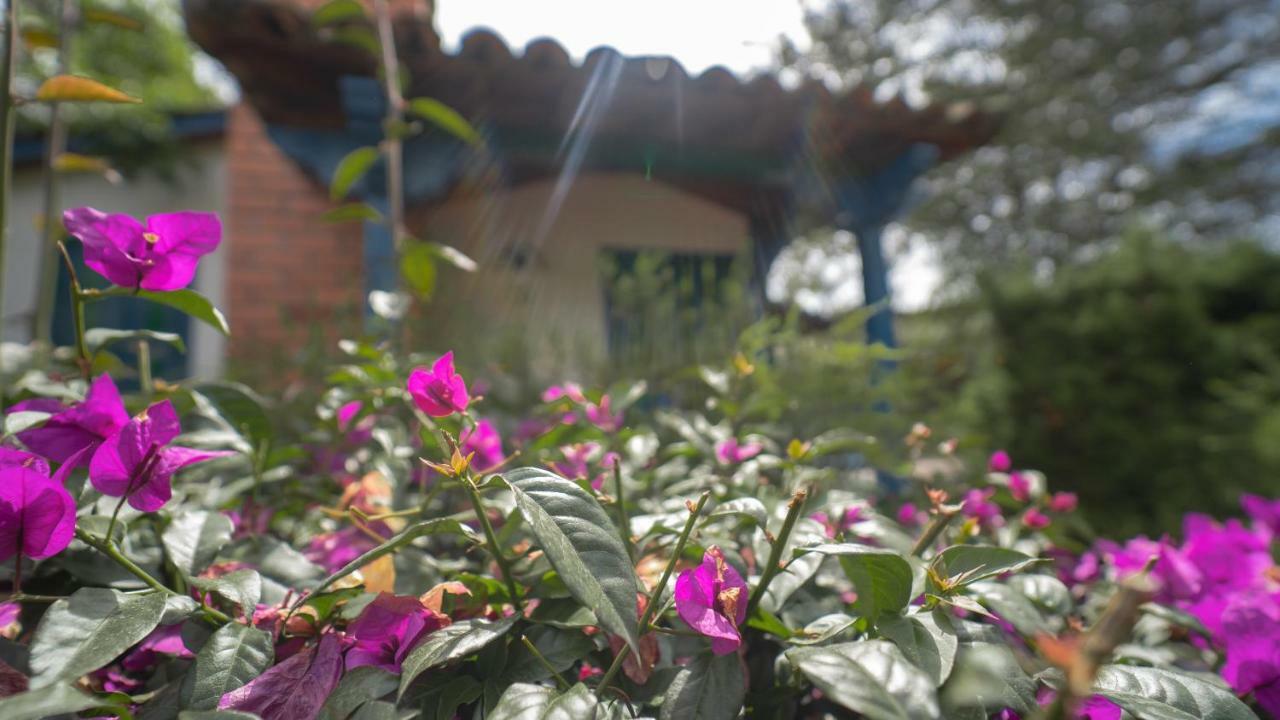 Termales El Otono Hotel La Enea Exterior photo A woman watering flowers